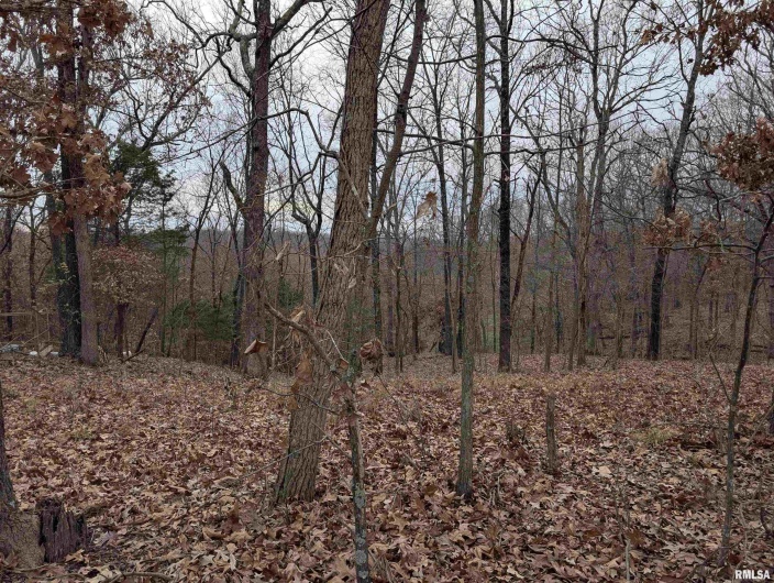 2643 DOGWOOD Road, Carbondale, Illinois 62902, 0 , 0 ,0,Land,For Sale,DOGWOOD,0,RMAQC4270029