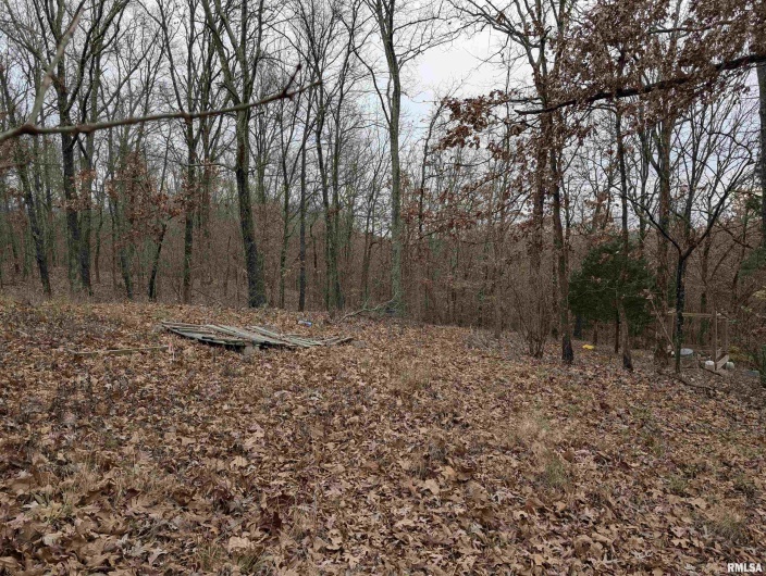 2643 DOGWOOD Road, Carbondale, Illinois 62902, 0 , 0 ,0,Land,For Sale,DOGWOOD,0,RMAQC4270029