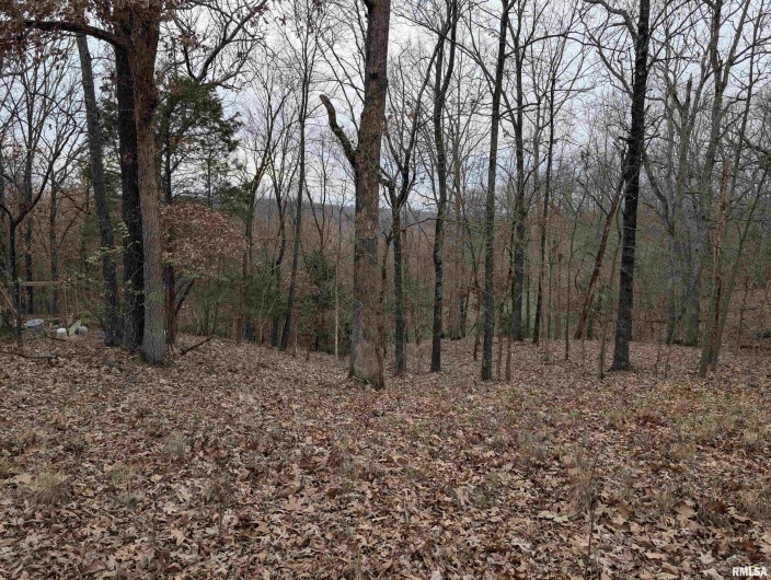 2643 DOGWOOD Road, Carbondale, Illinois 62902, 0 , 0 ,0,Land,For Sale,DOGWOOD,0,RMAQC4270029