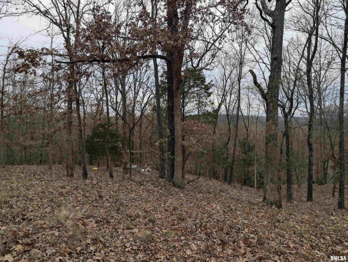 2643 DOGWOOD Road, Carbondale, Illinois 62902, 0 , 0 ,0,Land,For Sale,DOGWOOD,0,RMAQC4270029