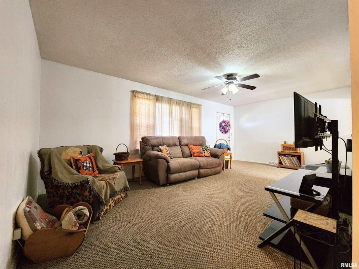 355 CHESTNUT Street, Alto Pass, Illinois 62905, 3 Bedrooms Bedrooms, 0 ,2 BathroomsBathrooms,Residential,For Sale,CHESTNUT,0,RMAEB460472