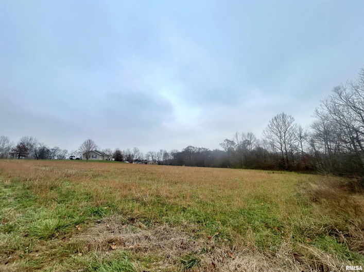Sub #2 Lot 19 Cypress Valley Lane, Vienna, Illinois 62995, 0 , 0 ,0,Land,For Sale,Cypress Valley,0,RMAEB460755