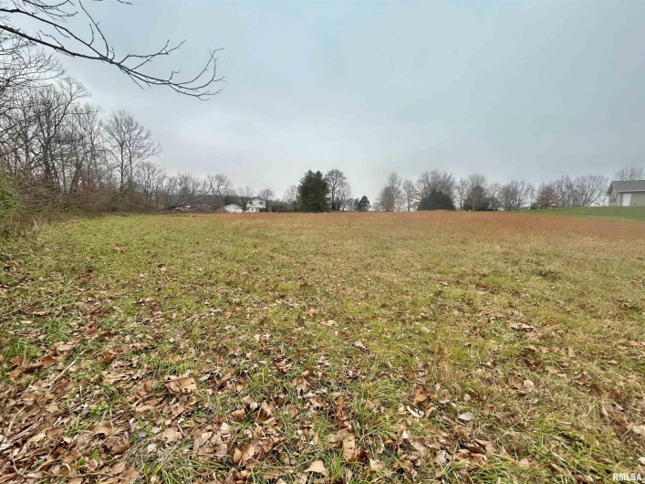 Sub #2 Lot 19 Cypress Valley Lane, Vienna, Illinois 62995, 0 , 0 ,0,Land,For Sale,Cypress Valley,0,RMAEB460755