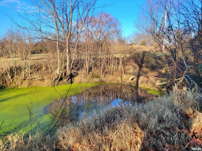 42 COUNTY LINE Road, Grand Chain, Illinois 62941, 3 Bedrooms Bedrooms, 0 ,2 BathroomsBathrooms,Residential,For Sale,COUNTY LINE,0,RMAEB460782