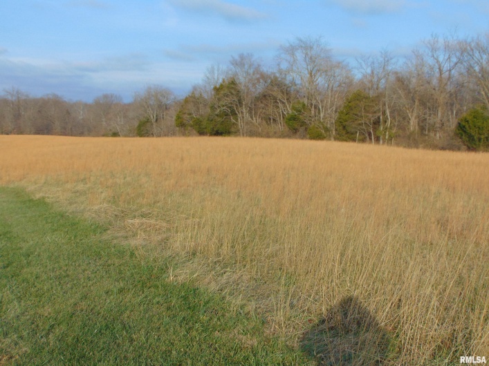 44 Bud Road, Alto Pass, Illinois 62905, 3 Bedrooms Bedrooms, 0 ,2 BathroomsBathrooms,Residential,For Sale,Bud,0,RMAEB460797