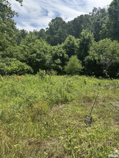 585 Berryville Road, Jonesboro, Illinois 62952, 0 , 0 ,0,Land,For Sale,Berryville,0,RMAQC4270099