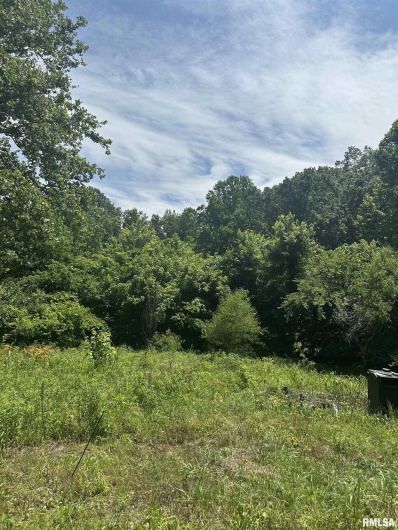 585 Berryville Road, Jonesboro, Illinois 62952, 0 , 0 ,0,Land,For Sale,Berryville,0,RMAQC4270099