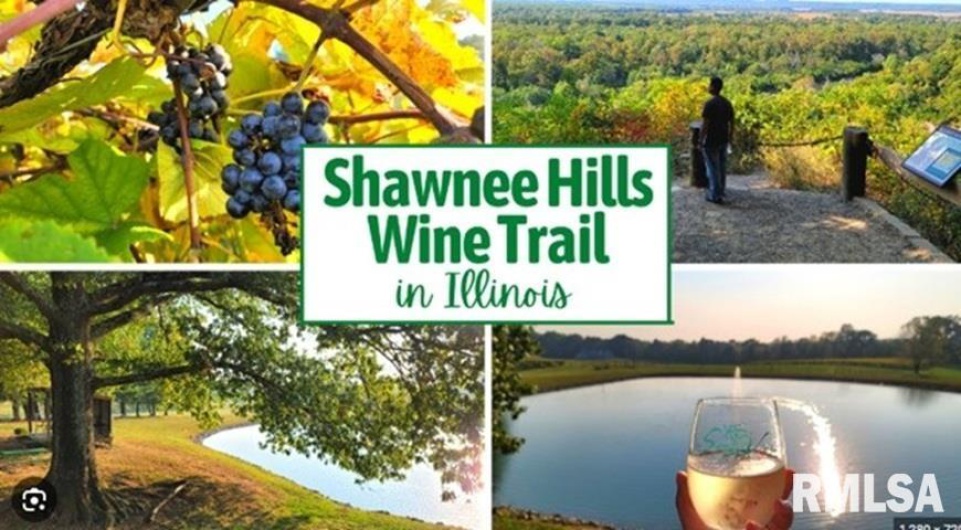 120 MAIN Street, Alto Pass, Illinois 62905, 2 Bedrooms Bedrooms, 0 ,1 BathroomBathrooms,Residential,For Sale,MAIN,0,RMACA1041022