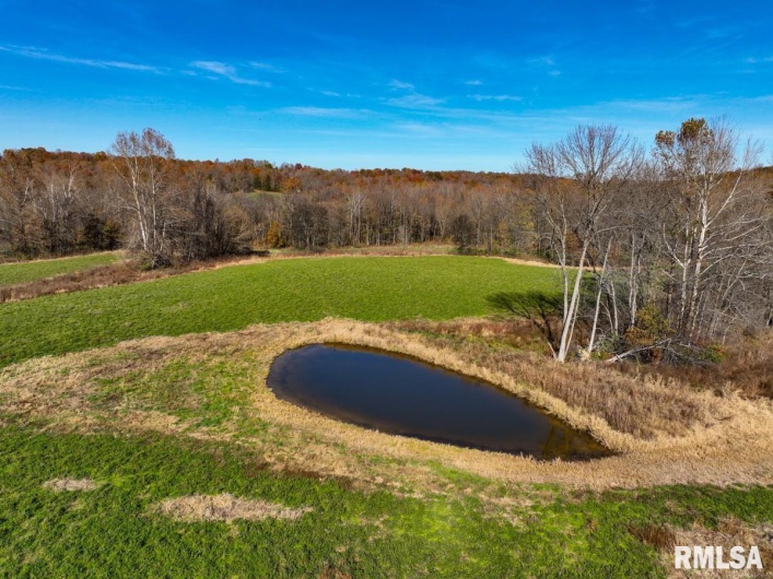 000 Route 1 Highway, Cave In Rock, Illinois 62919, 0 , 0 ,0,Land,For Sale,Route 1,0,RMACA1041065