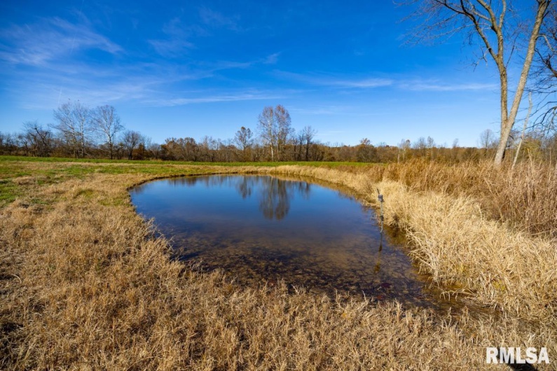 000 Route 1 Highway, Cave In Rock, Illinois 62919, 0 , 0 ,0,Land,For Sale,Route 1,0,RMACA1041065