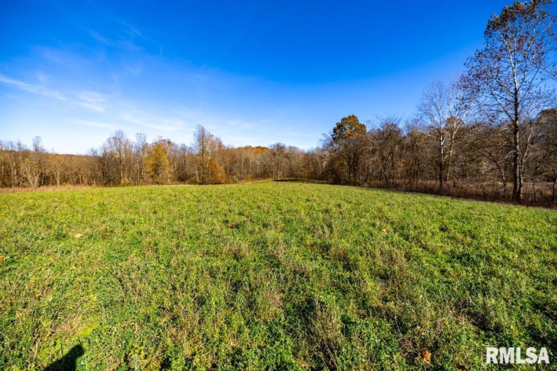 000 Route 1 Highway, Cave In Rock, Illinois 62919, 0 , 0 ,0,Land,For Sale,Route 1,0,RMACA1041065