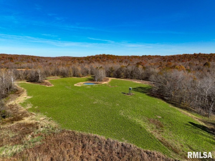 000 Route 1 Highway, Cave In Rock, Illinois 62919, 0 , 0 ,0,Land,For Sale,Route 1,0,RMACA1041065