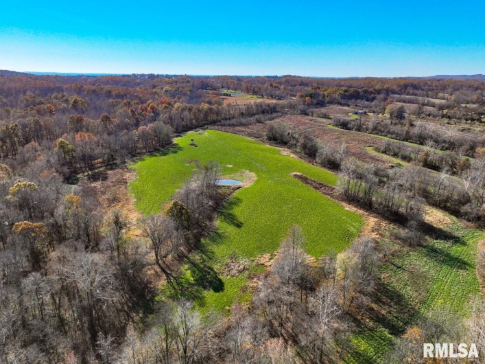 000 Route 1 Highway, Cave In Rock, Illinois 62919, 0 , 0 ,0,Land,For Sale,Route 1,0,RMACA1041065