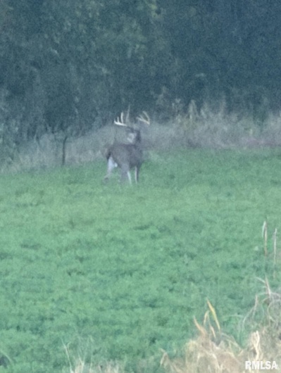 000 Route 1 Highway, Cave In Rock, Illinois 62919, 0 , 0 ,0,Land,For Sale,Route 1,0,RMACA1041065