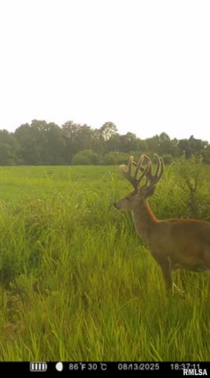 000 Route 1 Highway, Cave In Rock, Illinois 62919, 0 , 0 ,0,Land,For Sale,Route 1,0,RMACA1041065