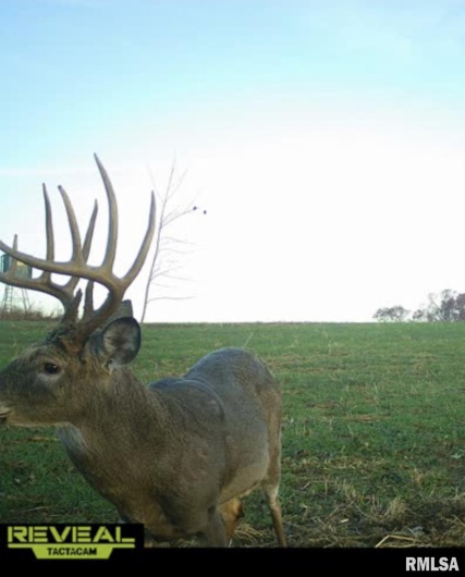 000 Route 1 Highway, Cave In Rock, Illinois 62919, 0 , 0 ,0,Land,For Sale,Route 1,0,RMACA1041065