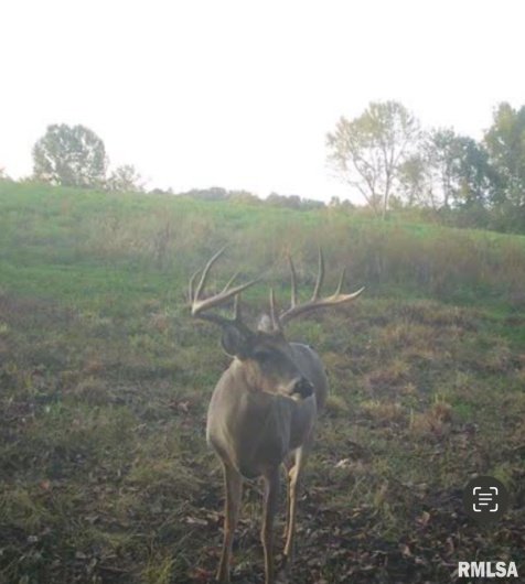 000 Route 1 Highway, Cave In Rock, Illinois 62919, 0 , 0 ,0,Land,For Sale,Route 1,0,RMACA1041065