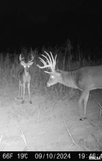 000 Route 1 Highway, Cave In Rock, Illinois 62919, 0 , 0 ,0,Land,For Sale,Route 1,0,RMACA1041065