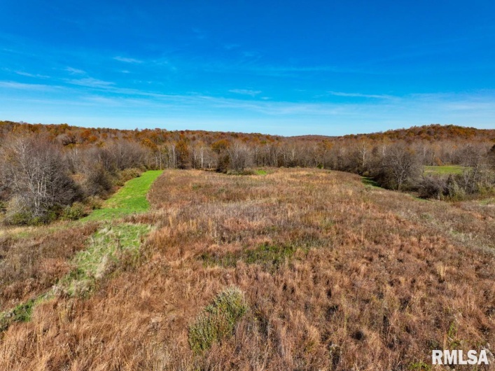 000 Route 1 Highway, Cave In Rock, Illinois 62919, 0 , 0 ,0,Land,For Sale,Route 1,0,RMACA1041065