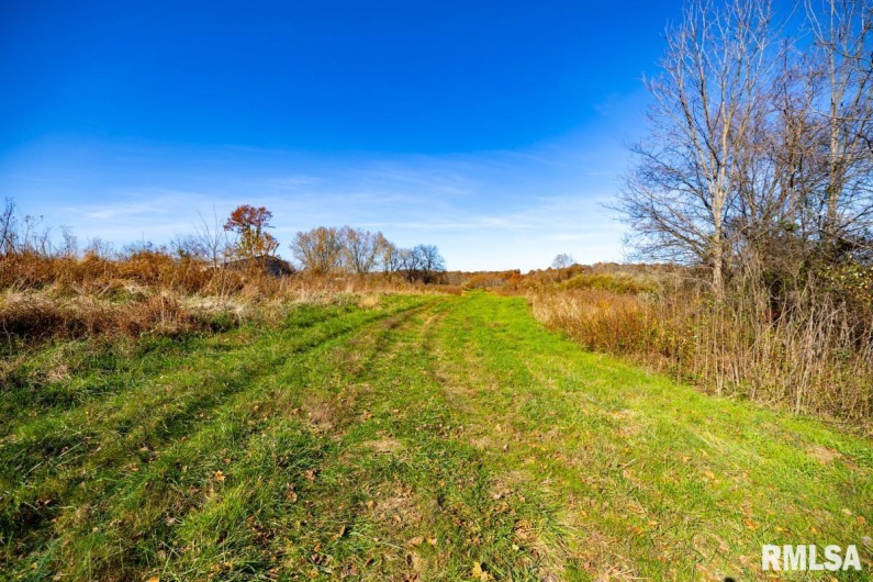 000 Route 1 Highway, Cave In Rock, Illinois 62919, 0 , 0 ,0,Land,For Sale,Route 1,0,RMACA1041065