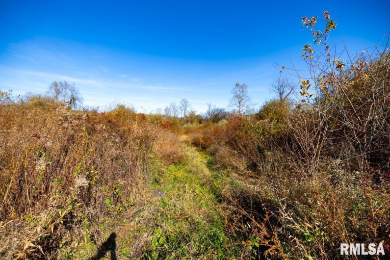 000 Route 1 Highway, Cave In Rock, Illinois 62919, 0 , 0 ,0,Land,For Sale,Route 1,0,RMACA1041065