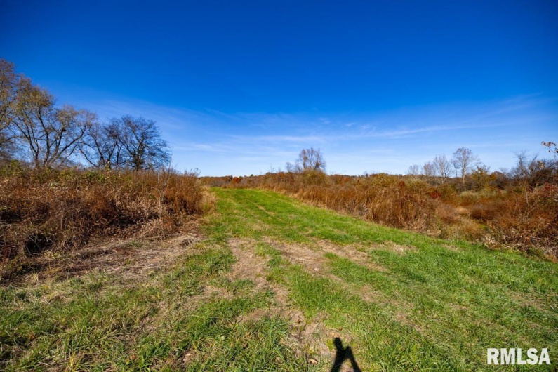 000 Route 1 Highway, Cave In Rock, Illinois 62919, 0 , 0 ,0,Land,For Sale,Route 1,0,RMACA1041065