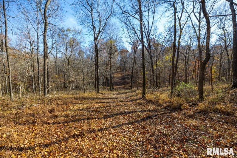 000 Route 1 Highway, Cave In Rock, Illinois 62919, 0 , 0 ,0,Land,For Sale,Route 1,0,RMACA1041065