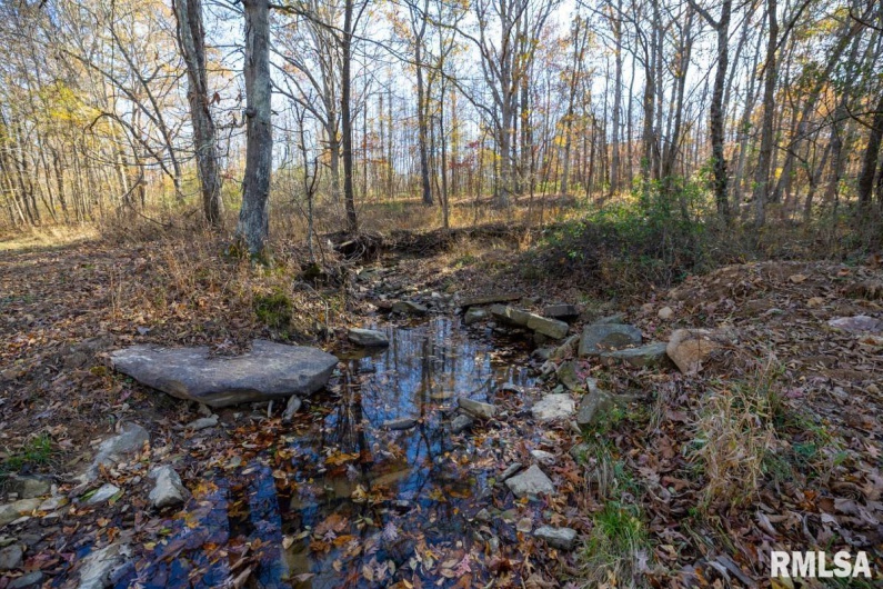 000 Route 1 Highway, Cave In Rock, Illinois 62919, 0 , 0 ,0,Land,For Sale,Route 1,0,RMACA1041065