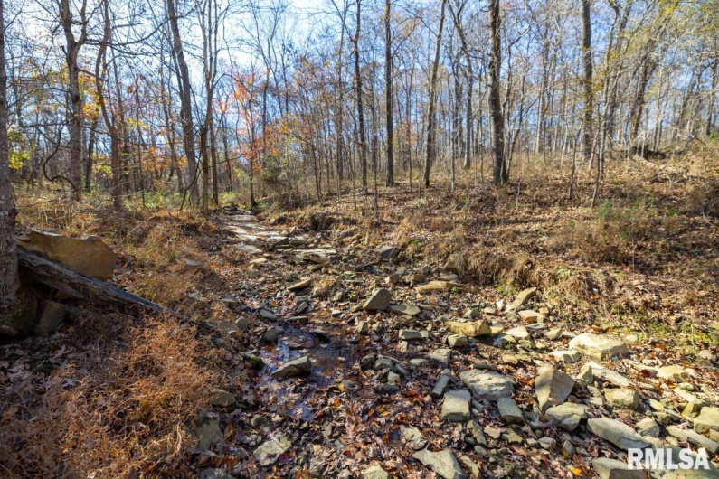 000 Route 1 Highway, Cave In Rock, Illinois 62919, 0 , 0 ,0,Land,For Sale,Route 1,0,RMACA1041065