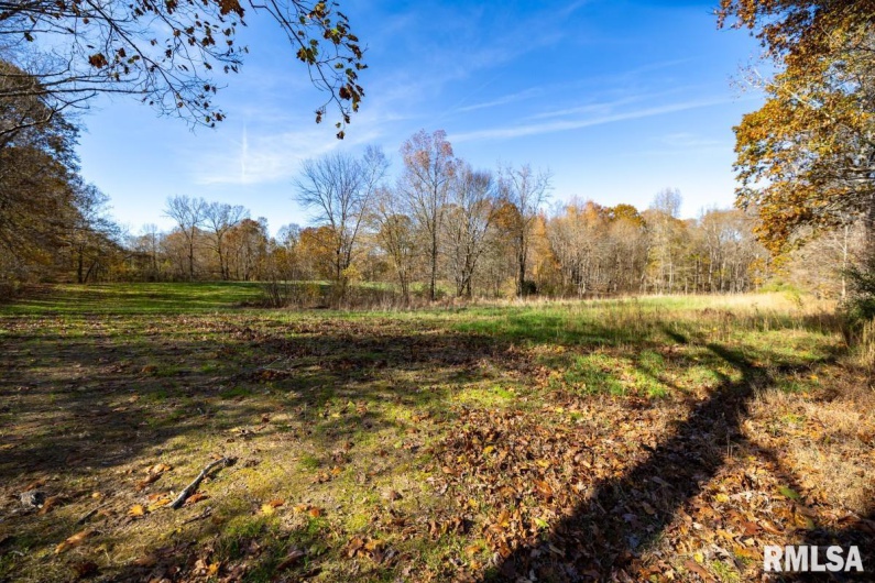 000 Route 1 Highway, Cave In Rock, Illinois 62919, 0 , 0 ,0,Land,For Sale,Route 1,0,RMACA1041065