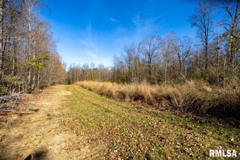 000 Route 1 Highway, Cave In Rock, Illinois 62919, 0 , 0 ,0,Land,For Sale,Route 1,0,RMACA1041065