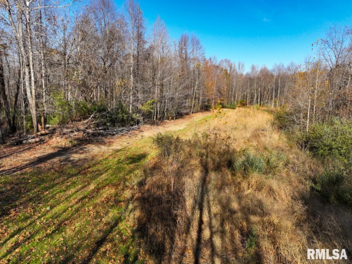 000 Route 1 Highway, Cave In Rock, Illinois 62919, 0 , 0 ,0,Land,For Sale,Route 1,0,RMACA1041065