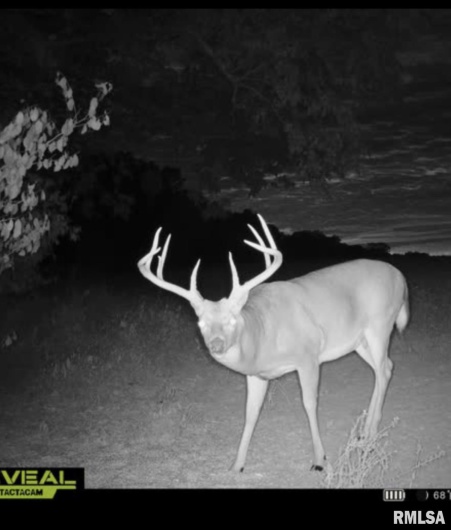 000 Route 1 Highway, Cave In Rock, Illinois 62919, 0 , 0 ,0,Land,For Sale,Route 1,0,RMACA1041065