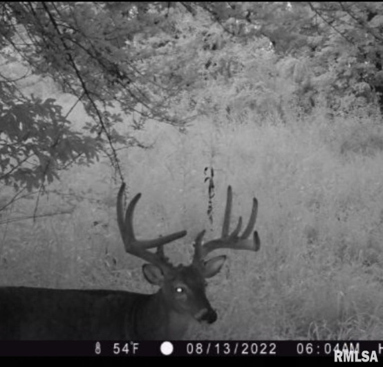 000 Route 1 Highway, Cave In Rock, Illinois 62919, 0 , 0 ,0,Land,For Sale,Route 1,0,RMACA1041065