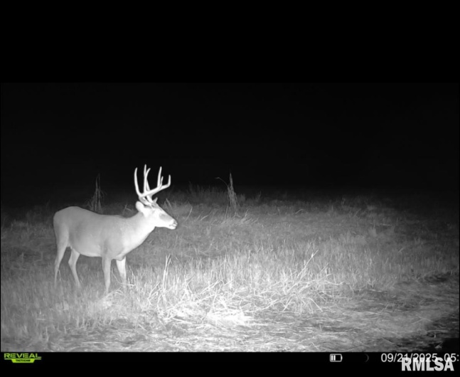 000 Route 1 Highway, Cave In Rock, Illinois 62919, 0 , 0 ,0,Land,For Sale,Route 1,0,RMACA1041065