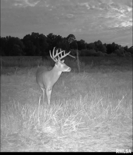 000 Route 1 Highway, Cave In Rock, Illinois 62919, 0 , 0 ,0,Land,For Sale,Route 1,0,RMACA1041065