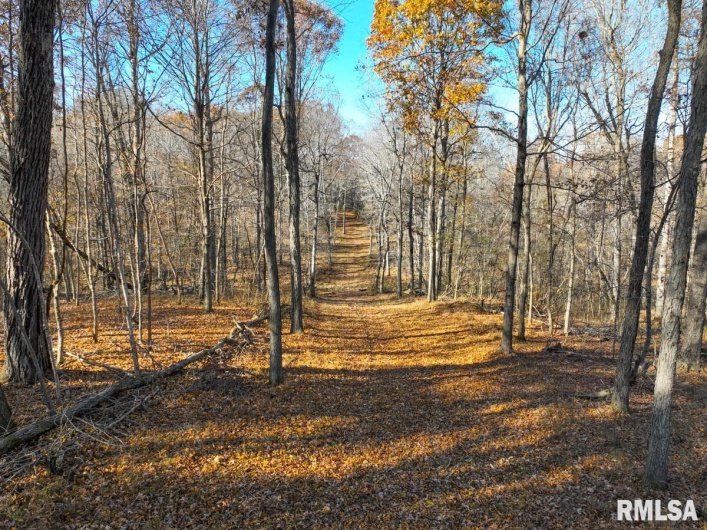 000 Route 1 Highway, Cave In Rock, Illinois 62919, 0 , 0 ,0,Land,For Sale,Route 1,0,RMACA1041065