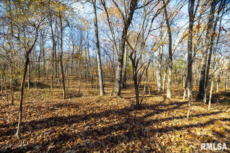 000 Route 1 Highway, Cave In Rock, Illinois 62919, 0 , 0 ,0,Land,For Sale,Route 1,0,RMACA1041065