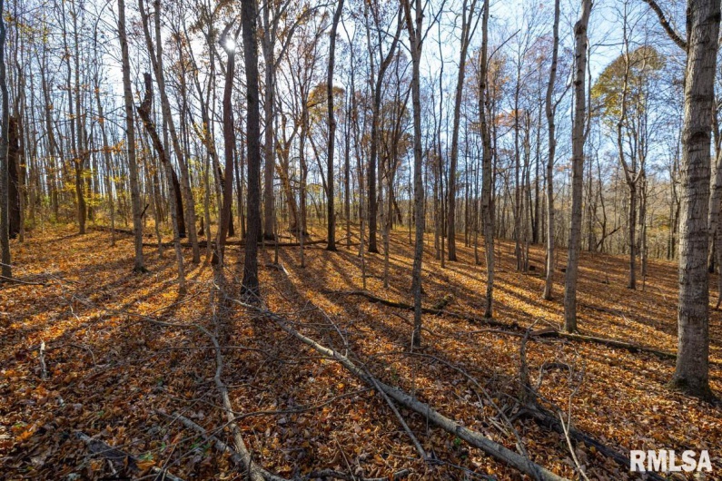 000 Route 1 Highway, Cave In Rock, Illinois 62919, 0 , 0 ,0,Land,For Sale,Route 1,0,RMACA1041065