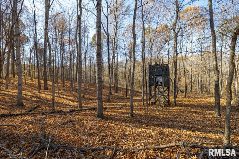 000 Route 1 Highway, Cave In Rock, Illinois 62919, 0 , 0 ,0,Land,For Sale,Route 1,0,RMACA1041065