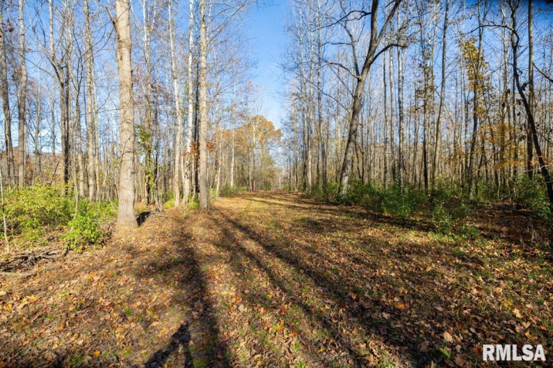 000 Route 1 Highway, Cave In Rock, Illinois 62919, 0 , 0 ,0,Land,For Sale,Route 1,0,RMACA1041065