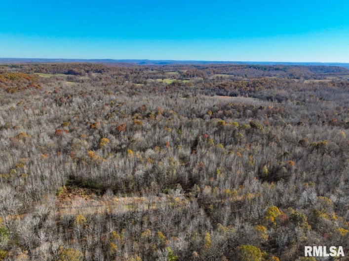 000 Route 1 Highway, Cave In Rock, Illinois 62919, 0 , 0 ,0,Land,For Sale,Route 1,0,RMACA1041065