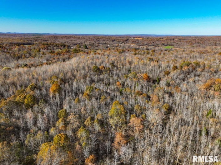 000 Route 1 Highway, Cave In Rock, Illinois 62919, 0 , 0 ,0,Land,For Sale,Route 1,0,RMACA1041065