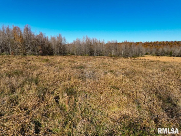 000 Route 1 Highway, Cave In Rock, Illinois 62919, 0 , 0 ,0,Land,For Sale,Route 1,0,RMACA1041065