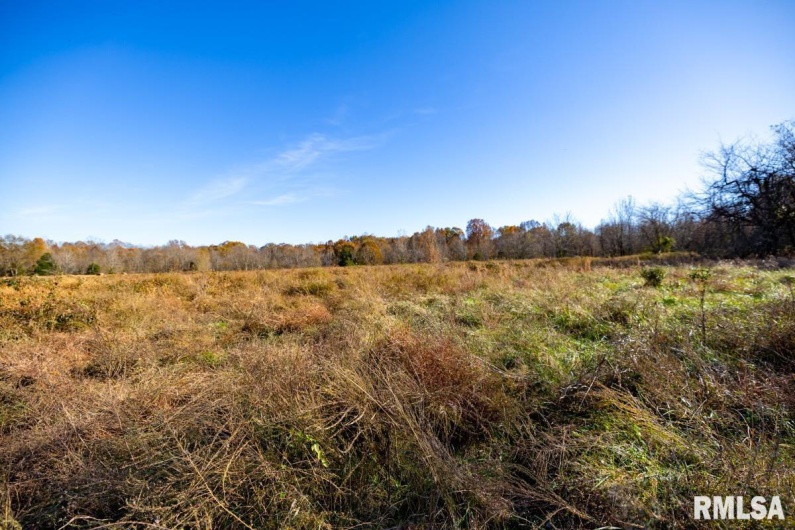 000 Route 1 Highway, Cave In Rock, Illinois 62919, 0 , 0 ,0,Land,For Sale,Route 1,0,RMACA1041065