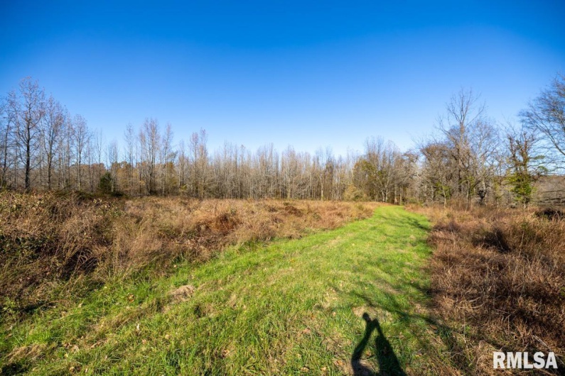 000 Route 1 Highway, Cave In Rock, Illinois 62919, 0 , 0 ,0,Land,For Sale,Route 1,0,RMACA1041065