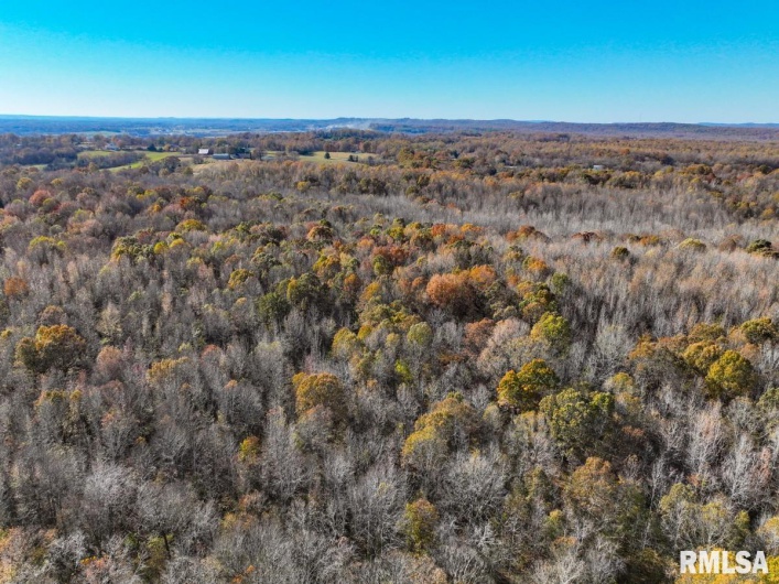 000 Route 1 Highway, Cave In Rock, Illinois 62919, 0 , 0 ,0,Land,For Sale,Route 1,0,RMACA1041065