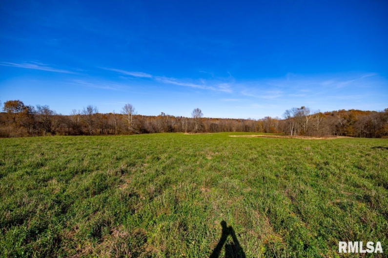 000 Route 1 Highway, Cave In Rock, Illinois 62919, 0 , 0 ,0,Land,For Sale,Route 1,0,RMACA1041065