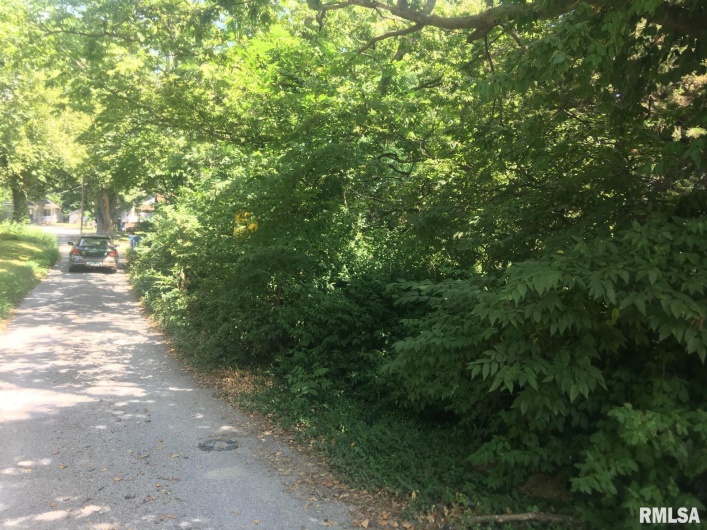 504 Lucier Street, Murphysboro, Illinois 62966, 0 , 0 ,0,Land,For Sale,Lucier,0,RMAPA1263336