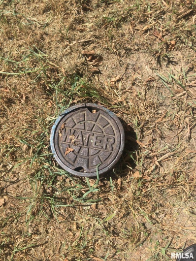 504 Lucier Street, Murphysboro, Illinois 62966, 0 , 0 ,0,Land,For Sale,Lucier,0,RMAPA1263336